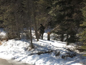 Early spring drive to Lake Travers in Algonquin Park