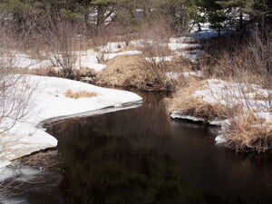 Early spring drive to Lake Travers in Algonquin Park