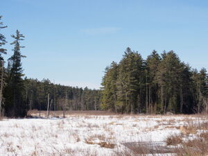 Early spring drive to Lake Travers in Algonquin Park