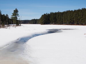 Early spring drive to Lake Travers in Algonquin Park