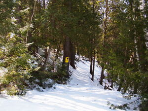Early spring drive to Lake Travers in Algonquin Park