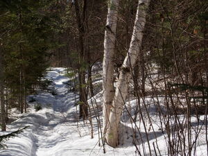 Early spring drive to Lake Travers in Algonquin Park