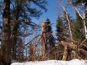 Early spring drive to Lake Travers in Algonquin Park