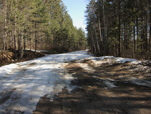 Early spring drive to Lake Travers in Algonquin Park