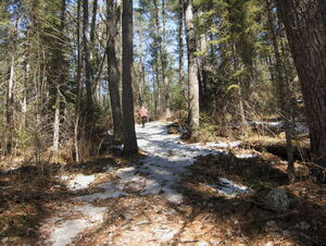 Early spring drive to Lake Travers in Algonquin Park