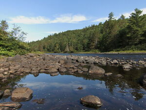 Take out for the portage from McManus Lake to Smith Lake at low water