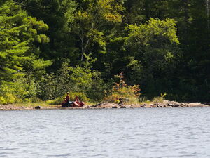  Extraction of Fire Rangers on Smith Lake in Algonquin Park APK027  20190904 