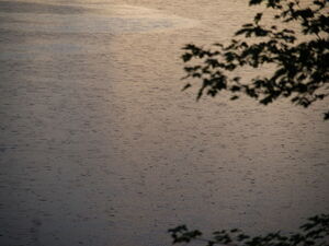 Rain  A red sunrise seldom lies