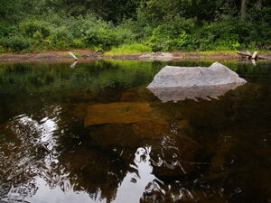 The clear water of the Petawawa River