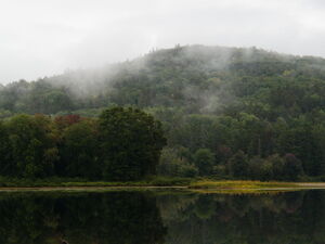 clearing