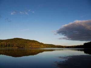 Clearing  on Whitson Lake in Algonquin Park