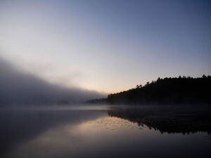 Another misty morning on Whitson Lake in Algonquin Park