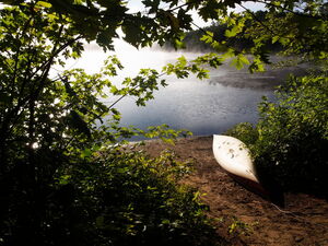 Another misty morning but with some sun on Whitson Lake in Algonquin Park