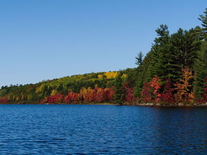 Fall Colours on Grand Lake in Algonquin Park