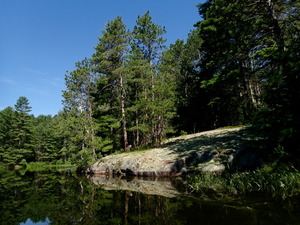 A day trip to Wylie Lake in the Petawawa Research Forest