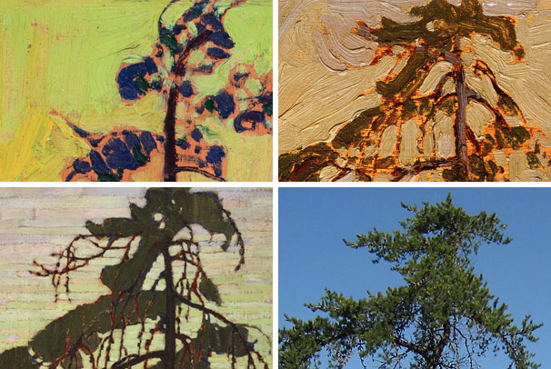 composite of three tom thomson paintings and a photo