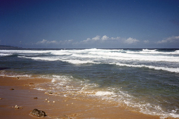 The East Coast of Barbados