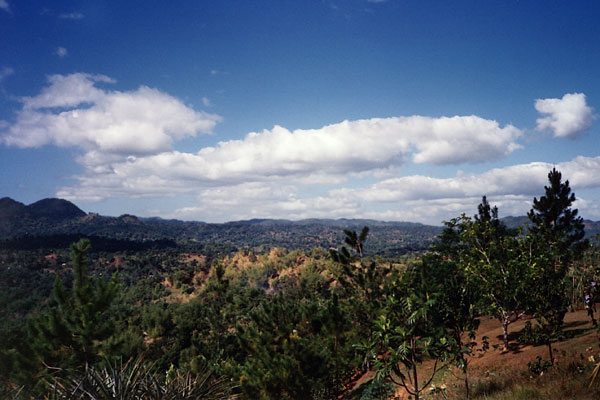 Croydon In The Mountains Jamaica