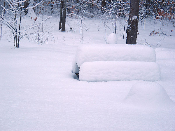 Picnic Table Snow Gauge