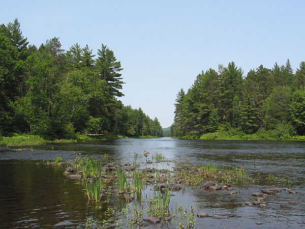 Five Mile Rapids in Algonquin Park