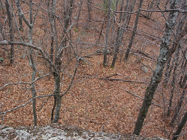 from Egg Rock on the Bonnechere River
