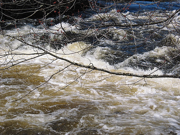 Brigham Chute on the Barron River in Algonquin Park