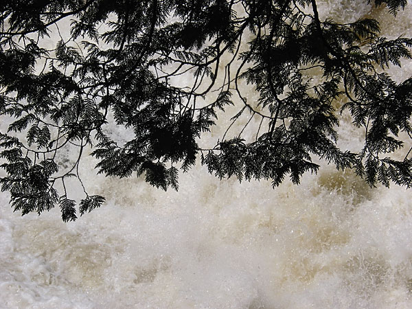 Brigham Chute on the Barron River in Algonquin Park