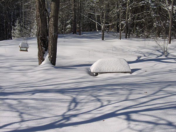 Picnic table snow gauge