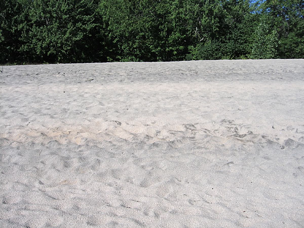 Burkes Beach on the Ottawa River at Point Alexander