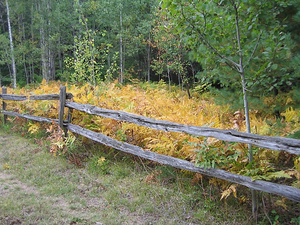 Cedar Rail Fence