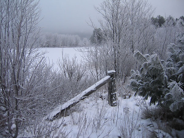 Meilleurs Bay on the Ottawa River