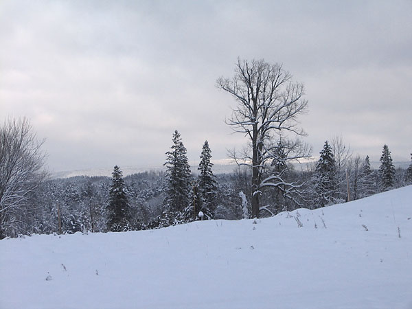 Site of the former headquarters of the Petawawa Research Forest