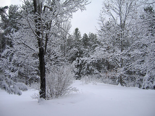 Unknown location in Laurention Hills