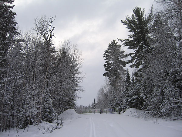 Gate on the Baseline Road in the Petawawa Research Forest