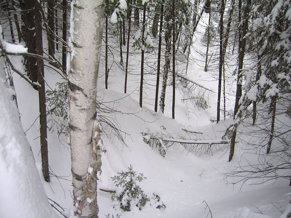 Side ravine of McConnell Creek