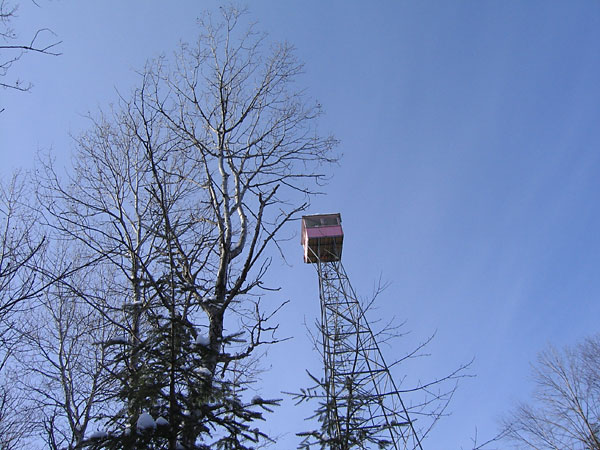 Fire Tower in the Petawawa Research Forest