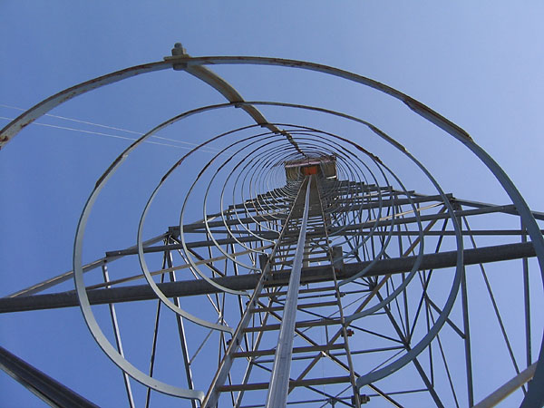 Fire Tower in the Petawawa Research Forest