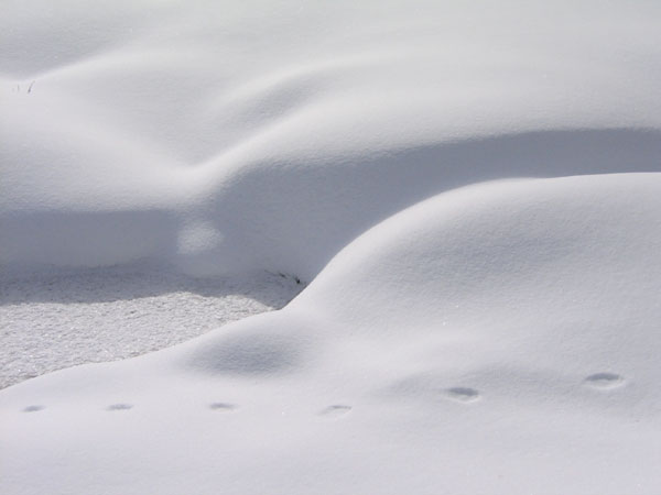 Snow shapes with tracks
