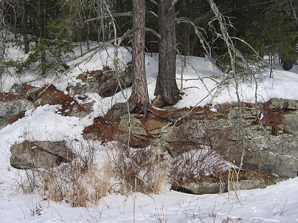 Maunsell Lake in the Petawawa Research Forest