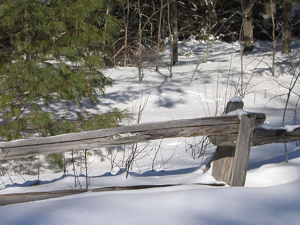 Cedar Rail Fence