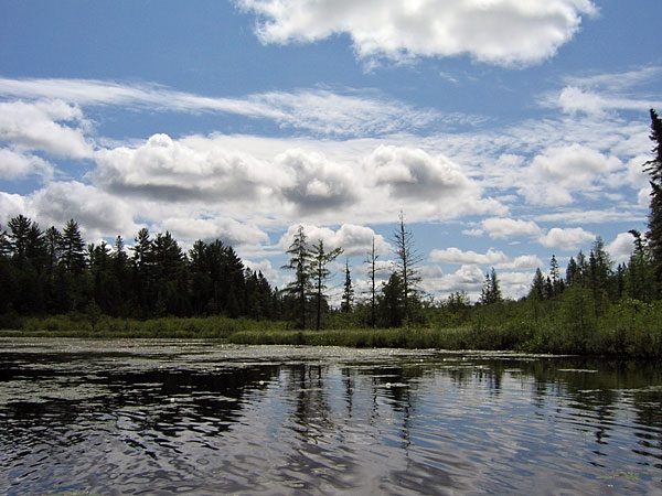 Young Lake in the Petawawa Research Forest