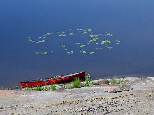 Canoe and water lilies