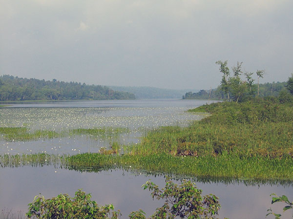 Corry Lake on the Chalk River
