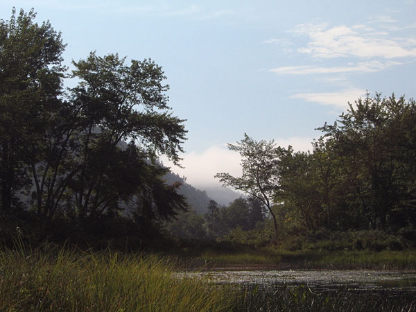 View from the Cranberry Patch