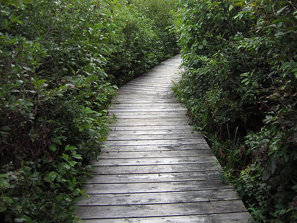 boardwalk along the Chalk River at Hwy 17
