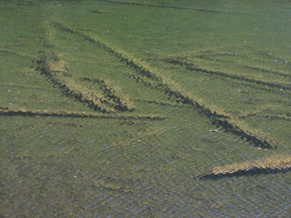 the green water of Eustache Lake in Algonquin Park