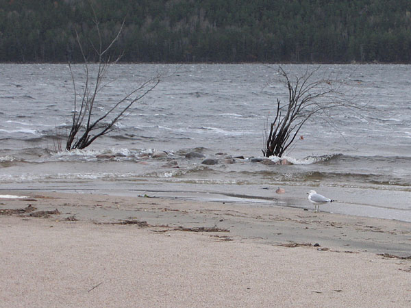 Burkes Beach on the Ottawa River at Point Alexander