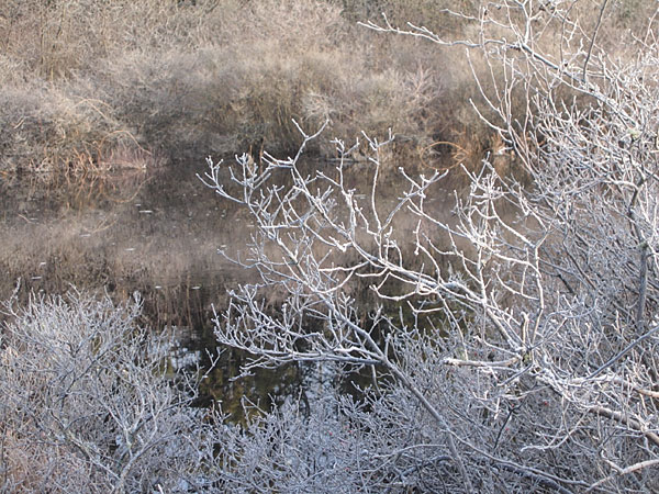 Chalk River in the Petawawa Research Forest