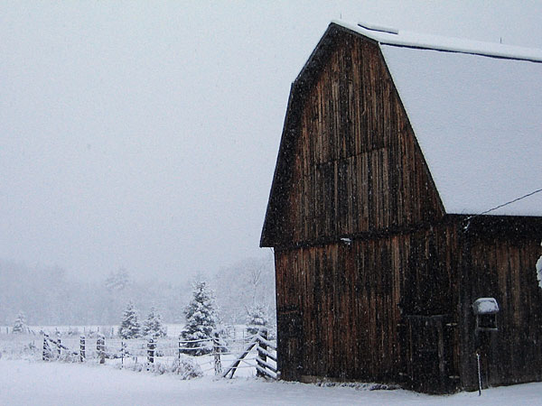 Barn at Point Alexander in snow