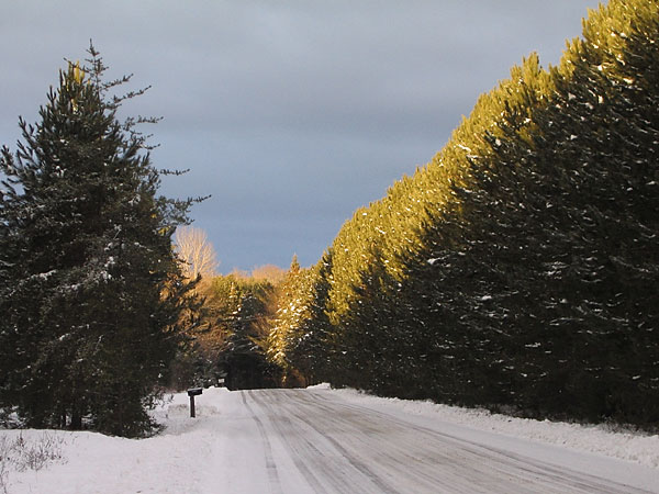 Burkes Road Point Alexander